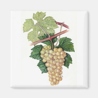 Dionysus y colección de Rhea Imán De Nevera