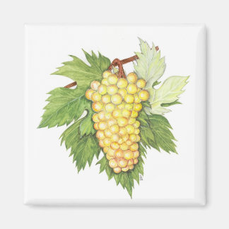 Dionysus y colección de Rhea Iman Para Frigorífico