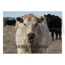 Disculpa blanca negra divertida de la vaca del MOO Tarjetón