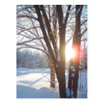 Diseño adaptable de la SALIDA DEL SOL del INVIERNO Tarjeta Postal