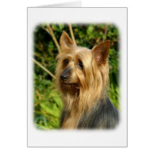 Diseño australiano de Terrier sedoso Tarjetas