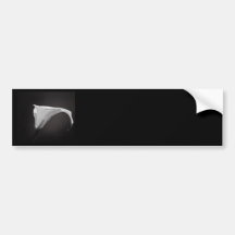 diseño blanco de la cala etiqueta de parachoque
