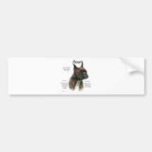 Diseño (brindle) de la historia del boxeador pegatina de parachoque