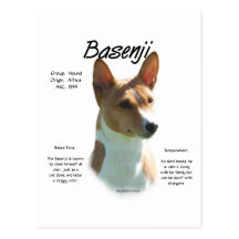 Diseño de la historia de Basenji (castaña) Postal