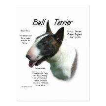 Diseño de la historia de bull terrier (coloreado) postales