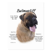 Diseño de la historia de Bullmastiff (cervatillo) Postal