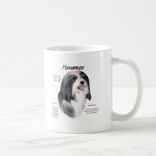 Diseño de la historia de Havanese Tazas De Café