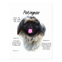 Diseño de la historia de Pekingese Tarjeta Postal