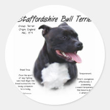 Diseño de la historia de Staffordshire bull terrie Etiquetas