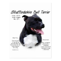 Diseño de la historia de Staffordshire bull terrie Tarjeta Postal