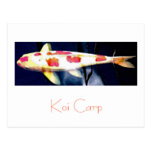 Diseño de la postal de la carpa de Koi