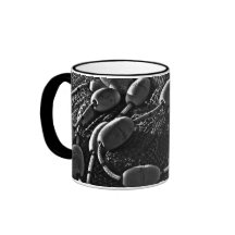 diseño de la red de pesca taza