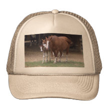 Diseño de los caballos gorro