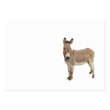 Diseño del burro plantilla de tarjeta de visita