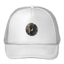 Diseño del cormorán gorra