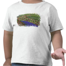 Diseño del jardín de jacinto de uva, y tulipanes, camisetas