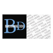 Diseño del monograma del perro de Bakharwal Tarjeta Fotografica