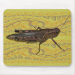 Diseño del saltamontes tapete de raton