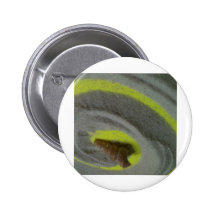 diseño/foto de la cáscara del mar pin