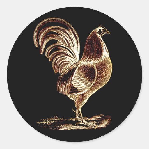 GALLO DE ORO IMAGENES gallo de oro imagenes: