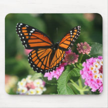 Diseño magnífico de la mariposa de monarca tapetes de raton
