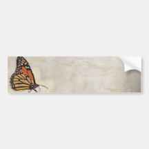 diseño precioso de los butterlies del monarca etiqueta de parachoque