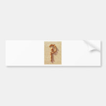 Diseños elegantes pegatina de parachoque