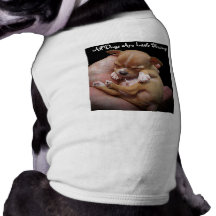 Disfrute de las pequeñas bendiciones de la vida camisas de perritos