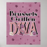 DIVA de Bruselas Griffon Posters