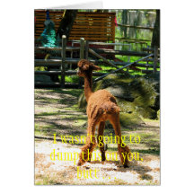Diversión de la alpaca felicitación
