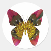 Diversión de la mariposa pegatinas redondas