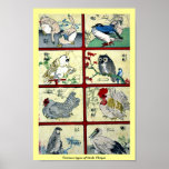 Diversos tipos de pájaros Ukiyoe Impresiones