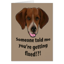 Divertido consiga la tarjeta bien para los perros
