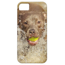 ¡Divertirse! iPhone 5 Funda