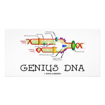 DNA del genio (humor de la réplica de la DNA) Tarjetas Fotográficas
