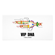 DNA del VIP (humor de la réplica de la DNA) Tarjetas Fotograficas