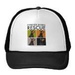 dobe-rejilla gorras