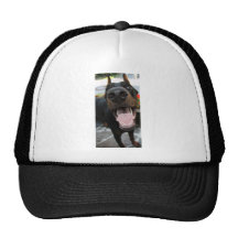 Doberman divertido gorros  