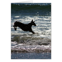 Doberman - negro - salto del océano felicitacion 