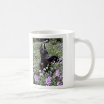 Doberman que descansa en taza de la cama de flor s