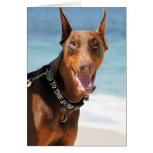 Doberman - rojo - malo al hueso felicitacion 
