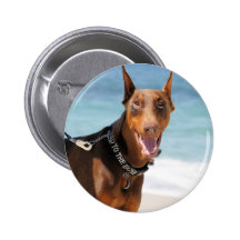 Doberman - rojo - malo al hueso pins