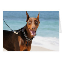 Doberman - rojo - malo al hueso tarjeta