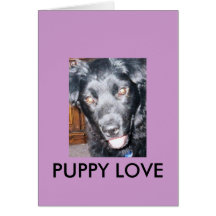 DOG1, AMOR ADOLESCENTE TARJETON