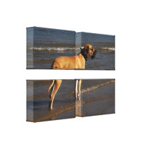 Dogge en lienzo de cuña impresiones en lienzo estiradas