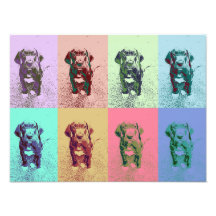 Doggenwelpe Fotos
