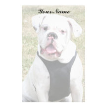 Dogo blanco inmóvil  papeleria de diseño