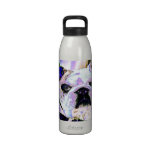 Dogo colorido botella de beber