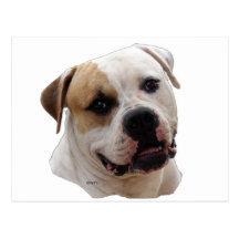 Dogo de Amercian Postales