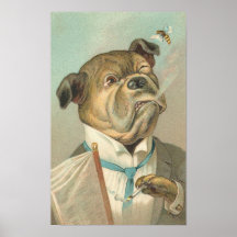 Dogo del vintage poster
